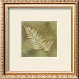 Buy Organic Fern at AllPosters.com