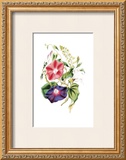 Buy Flowers at AllPosters.com