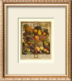 Fruits of the Season, Winter