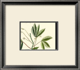 Buy Naturalist Study I at AllPosters.com