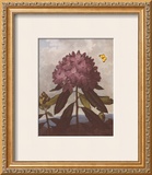 Buy The Pontic Rhododendron at AllPosters.com