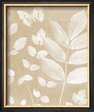 Buy Magical Leaves I at AllPosters.com