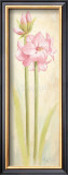 Buy Joy at AllPosters.com
