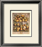Buy Fruits of the Season, Spring at AllPosters.com