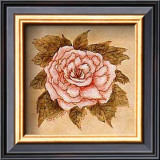 Buy Blush Peony at AllPosters.com