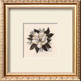 Buy Magnolia at AllPosters.com