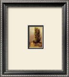 Buy Soft Morning Light at AllPosters.com