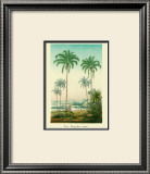 Buy Coco Palm at AllPosters.com