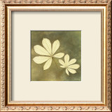 Buy Horse Chestnut Leaf at AllPosters.com