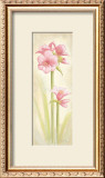 Buy Fun at AllPosters.com