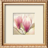 Buy Magnolia Nigra at AllPosters.com