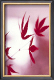 Buy Arrangement of the Leaves I at AllPosters.com