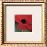 Buy Red on Turquoise at AllPosters.com