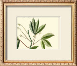 Buy Naturalist Study I at AllPosters.com