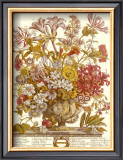 Twelve Months of Flowers, 1730, October