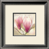 Buy Magnolia Nigra at AllPosters.com