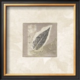 Elm Leaf