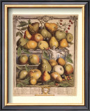 Fruits of the Season, Spring