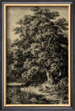 Buy Oak Tree at AllPosters.com