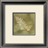Buy Organic Fern at AllPosters.com