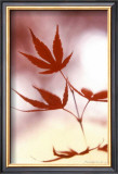 Buy Arrangement of the Leaves II at AllPosters.com