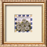Buy Shasta Daisy at AllPosters.com