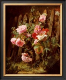 Pink Roses by a Garden Fence