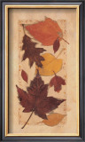Buy Autumn Harvest I at AllPosters.com