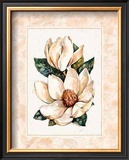Buy Fleur du Jour, Magnolia at AllPosters.com