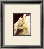 Calla Lilies Detail