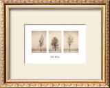 Buy Winterscapes at AllPosters.com
