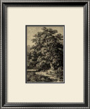 Buy Oak Tree at AllPosters.com