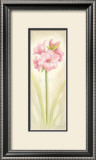 Buy Pleasure at AllPosters.com