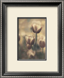 Tinted Tulips III Framed Art Print