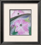 Petunia no. 2