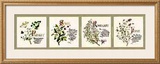 Buy Kitchen Herbs II at AllPosters.com