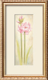 Buy Joy at AllPosters.com