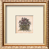 Buy Pansies at AllPosters.com