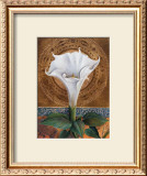 Buy Angel's Trumpet at AllPosters.com
