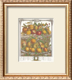 Twelve Months of Fruits, 1732, April