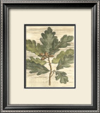 Buy Weathered Oak Leaves I at AllPosters.com