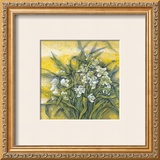 Buy White Orchids at AllPosters.com