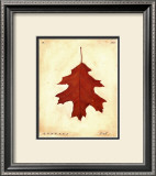 Buy Oak Leaf at AllPosters.com