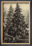 Buy Spruce Pine at AllPosters.com