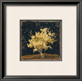 Buy Jap Maple XIII at AllPosters.com