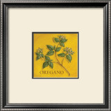 Oregano