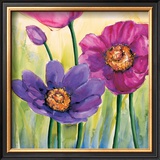 Buy Anemoni in Rosa (detail) at AllPosters.com