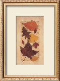 Buy Autumn Harvest I at AllPosters.com