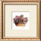 Buy Pink Primroses at AllPosters.com