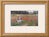 In Flanders Fields